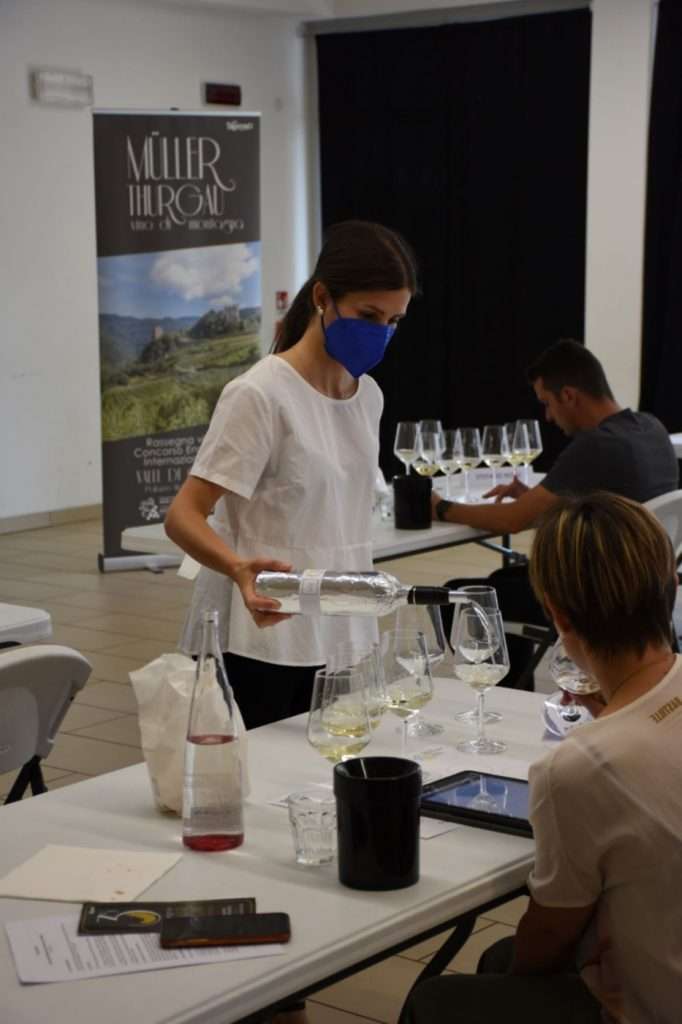 Ufficio stampa trentinowinefest